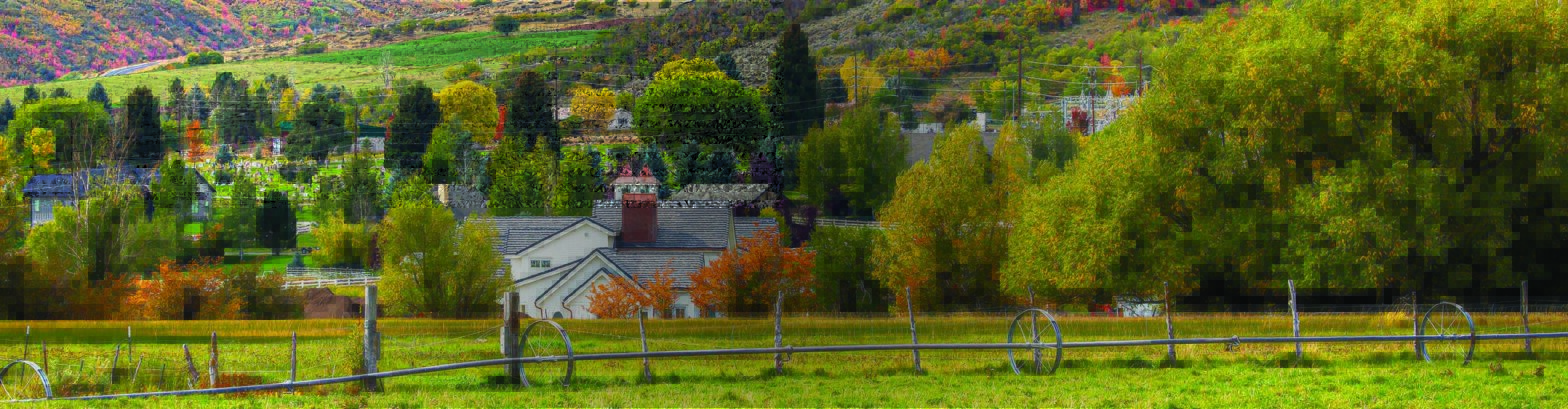 field with house