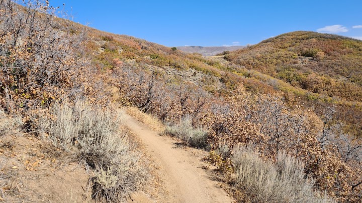 Dutch Hollow Trailhead